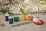 A collection of colorful containers and seashells arranged on a sandy surface, likely at a beach. There are six containers in total, each of a different color: purple, blue, green, yellow, orange, and red. Each container holds different types of seashells or plants. The background includes some dry vegetation and a wooden stick planted in the sand. The vibrant colors of the containers contrast with the natural, earthy tones of the sand and shells, creating a visually appealing scene.